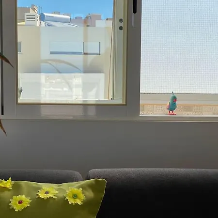 Appartement Superstar Terrace District de Faro