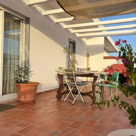 Superstar Terrace